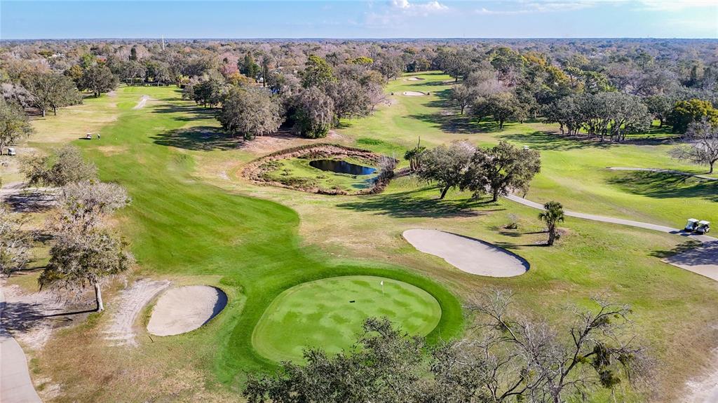 13012 Wedgewood Way, Unit A Hudson, FL 34667 - Photo 69 of 79