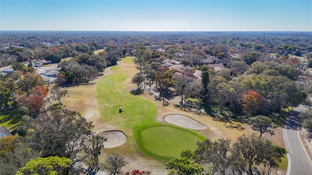 13012 Wedgewood Way, Unit A Hudson, FL 34667 - Photo 78 of 79