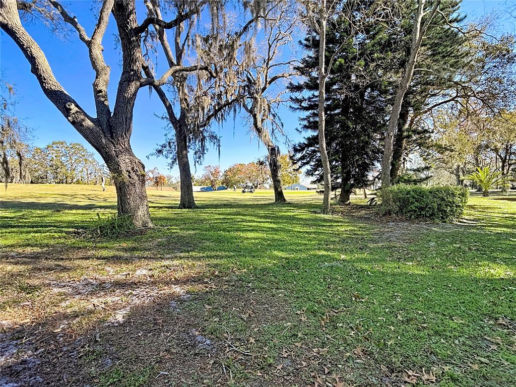 13012 Wedgewood Way, Unit A Hudson, FL 34667 - Photo 79 of 79