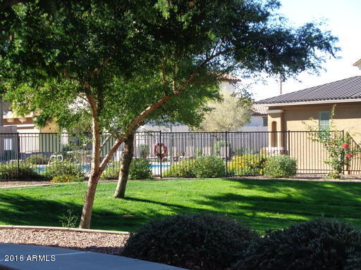 1731 East Joseph Way Gilbert, AZ 85295 - Photo 19 of 20 COMMUNITY POOL