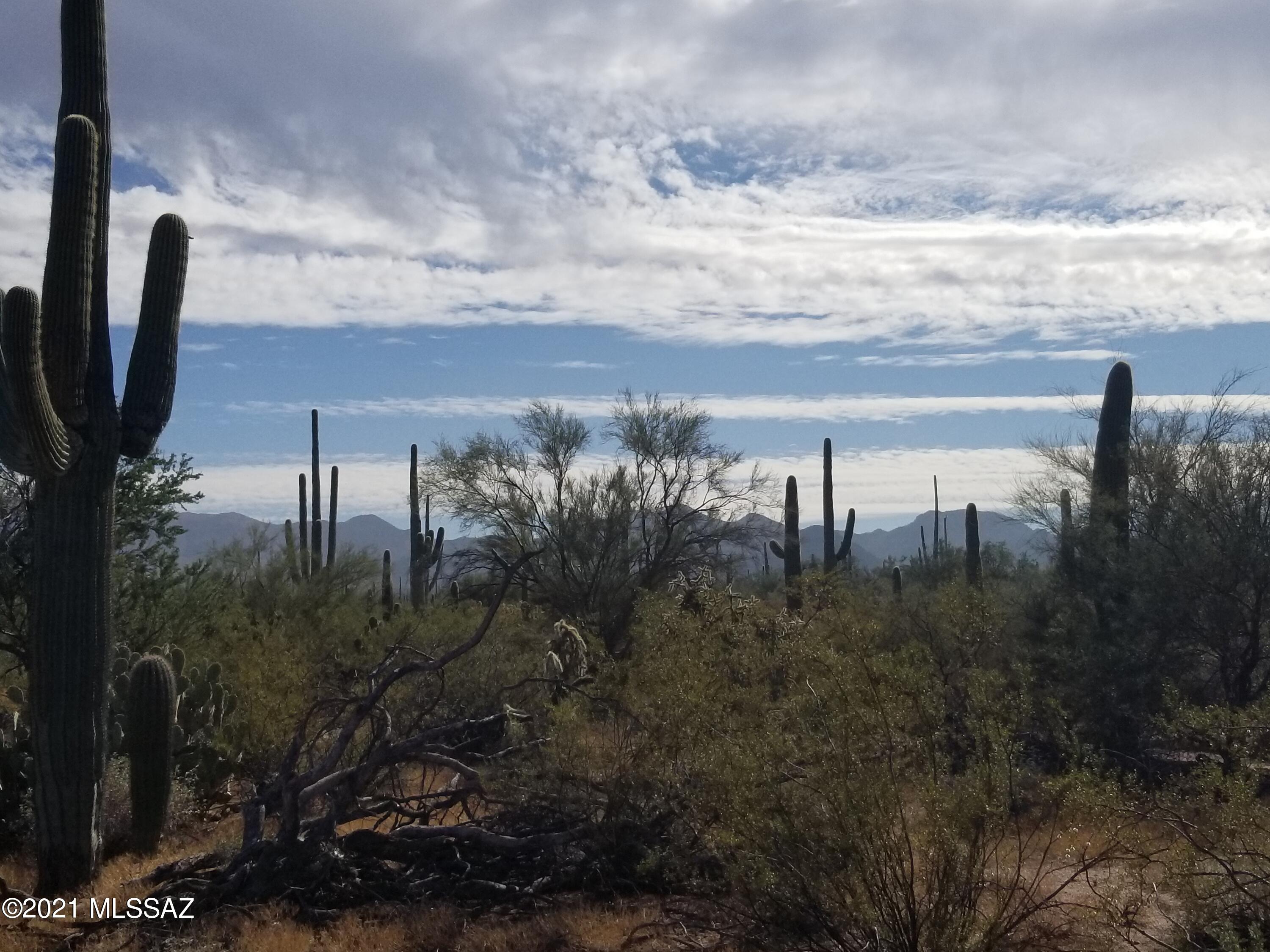 11110 West Rudasill Road, Unit 4 66 AC Tucson, AZ 85743 - Photo 7 of 19