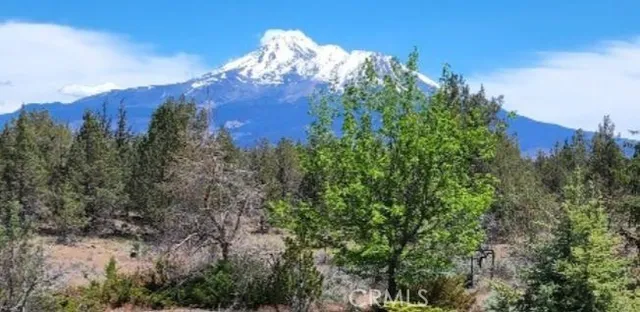a view of a tree in a field of a house