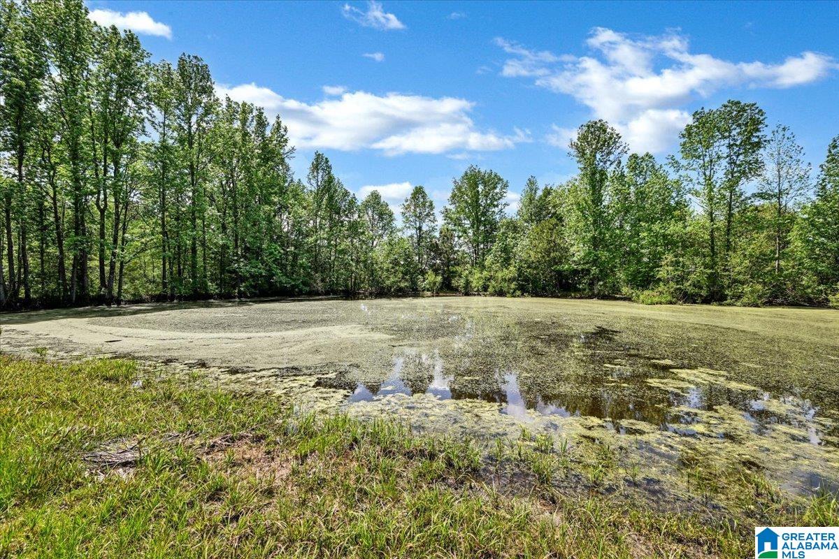 888 County Road 1663 Cullman, AL 35058 - Photo 17 of 20