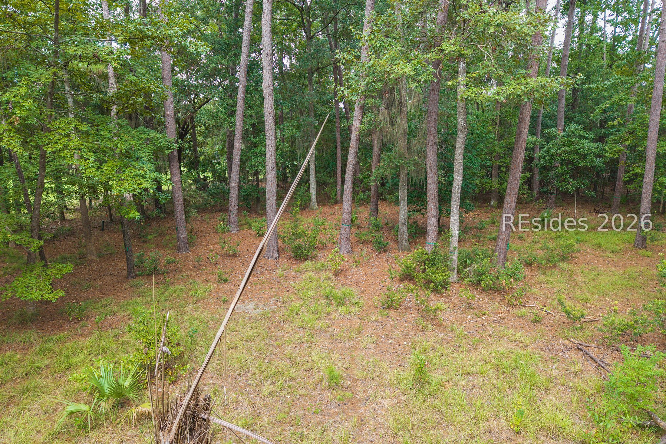 22 Smilax Vine Road Bluffton, SC 29910 - Photo 12 of 28 Gallery Image 12