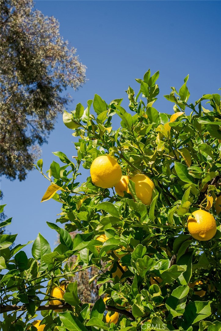 10843 Morning Ridge Drive Moreno Valley, CA 92557 - Photo 37 of 56