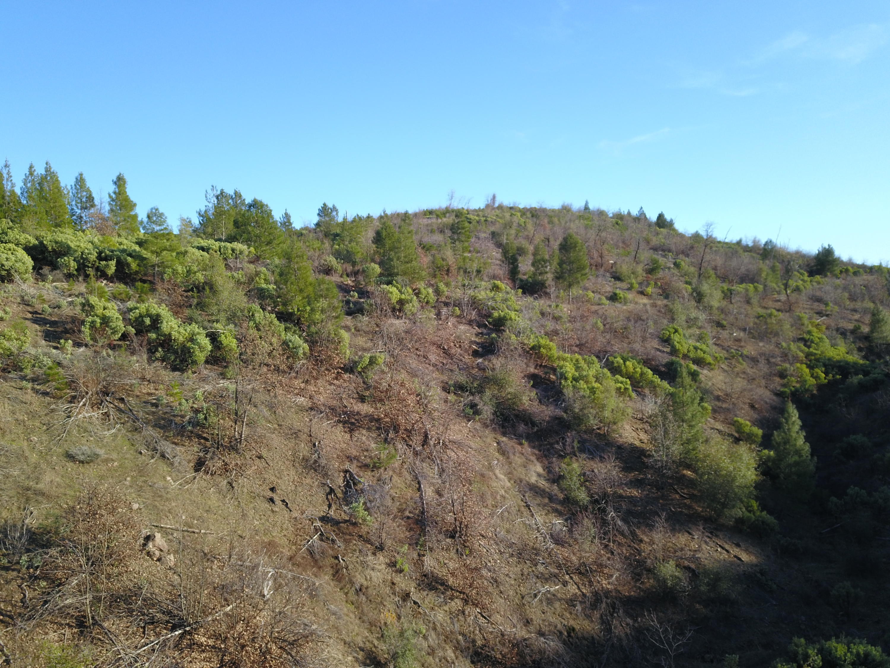 40-acres Backbone Road Bella Vista, CA 96008 - Photo 1 of 8 1