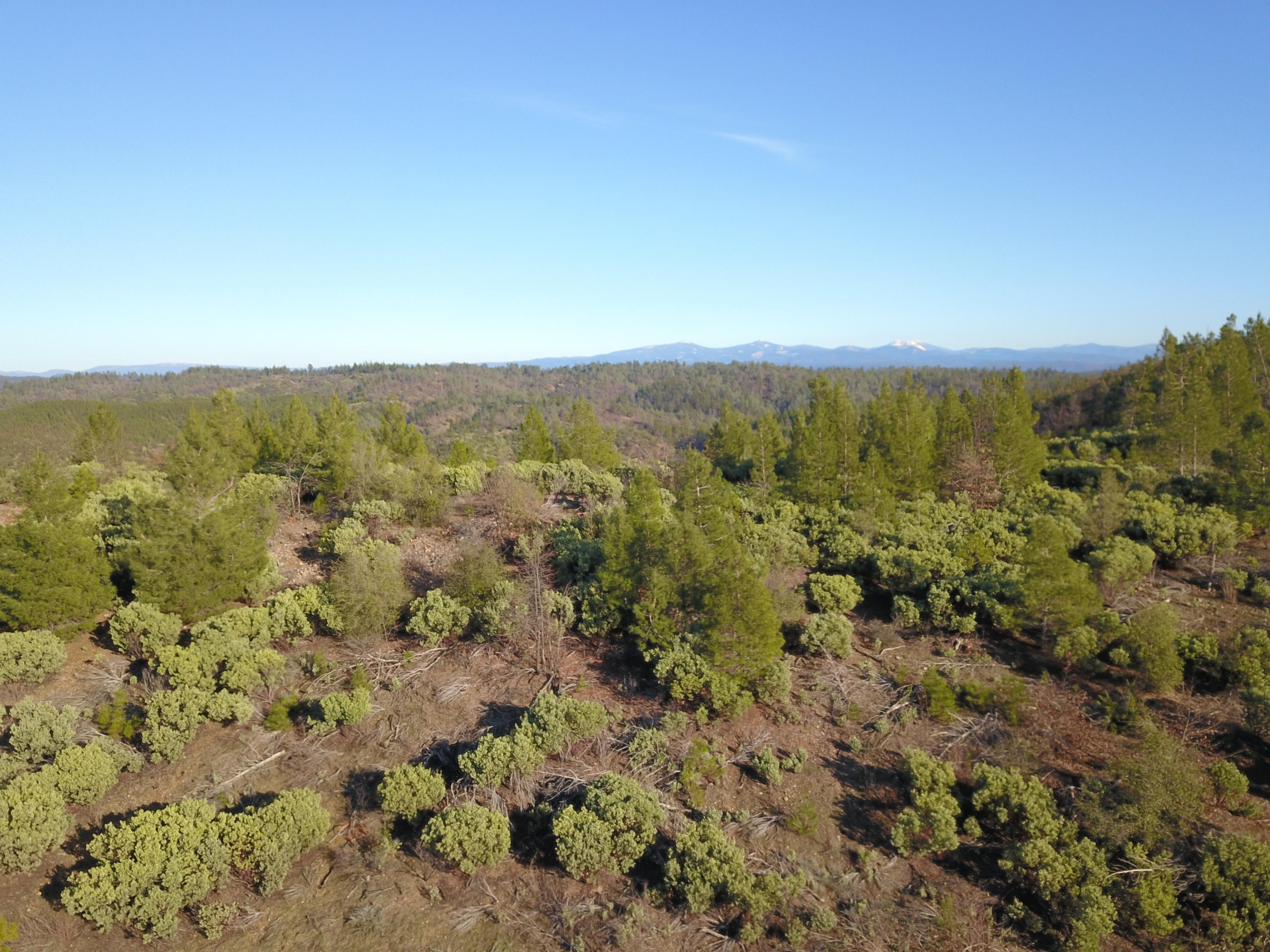 40-acres Backbone Road Bella Vista, CA 96008 - Photo 2 of 8 2