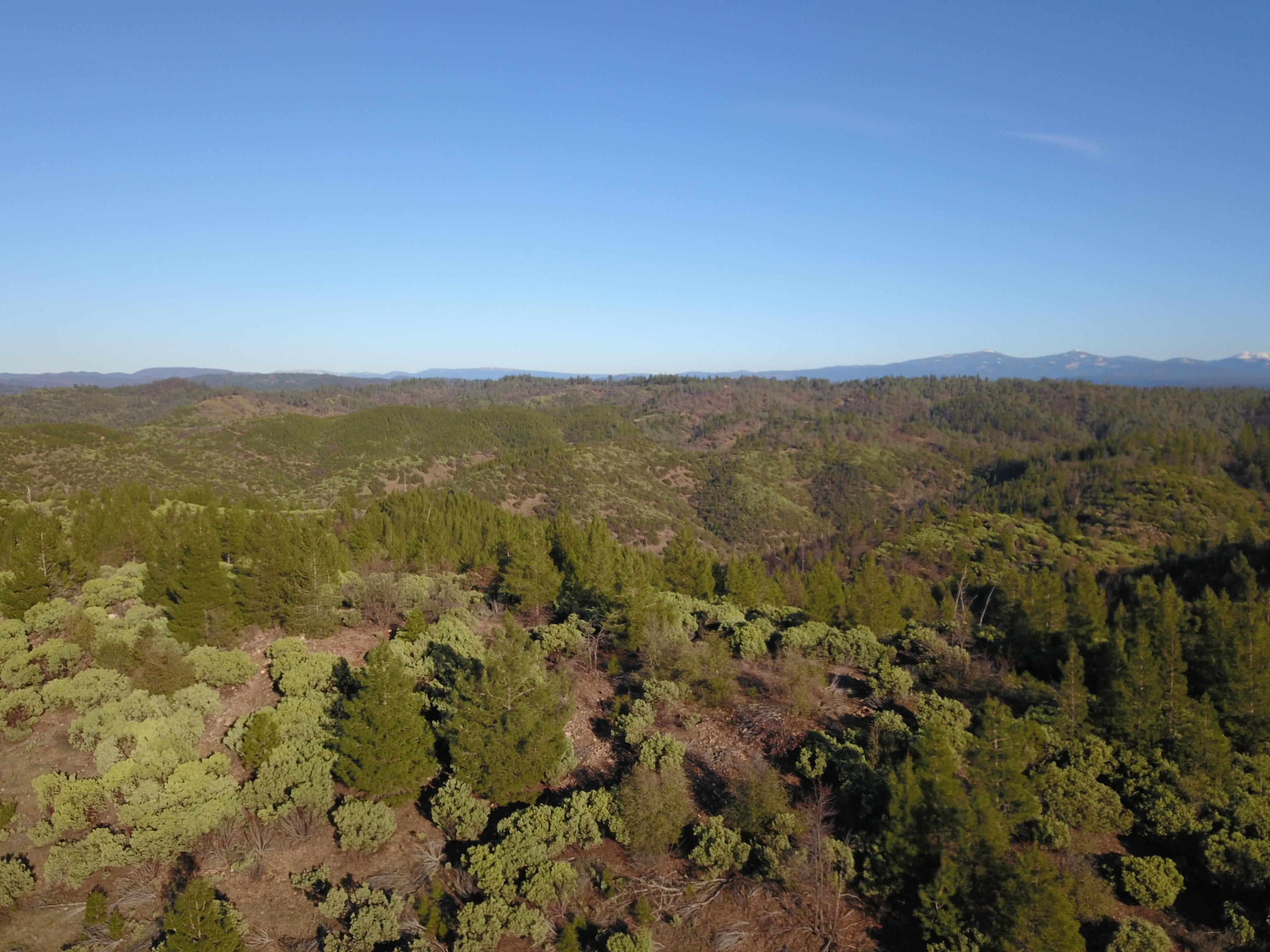 40-acres Backbone Road Bella Vista, CA 96008 - Photo 4 of 8 4