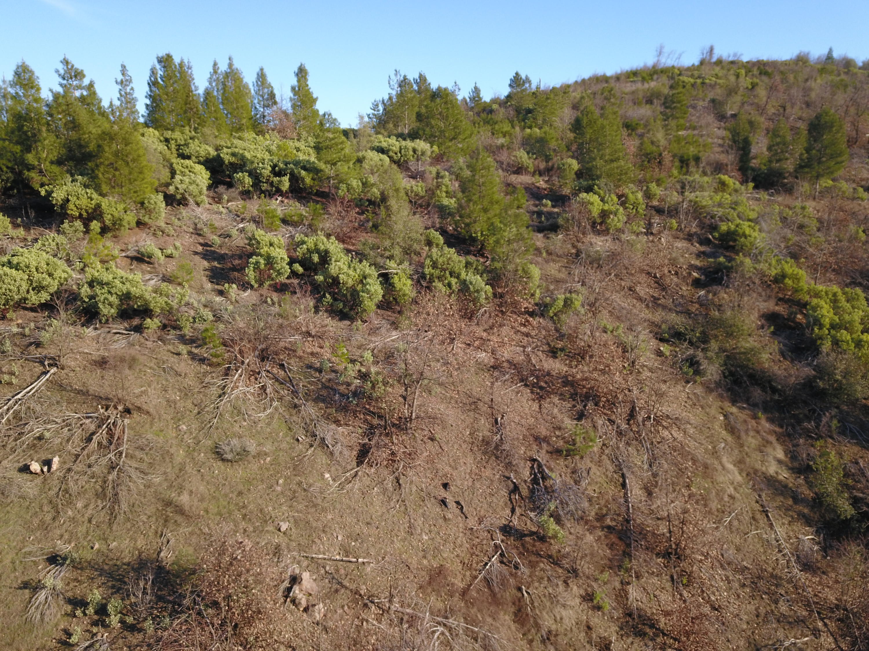 40-acres Backbone Road Bella Vista, CA 96008 - Photo 5 of 8 5