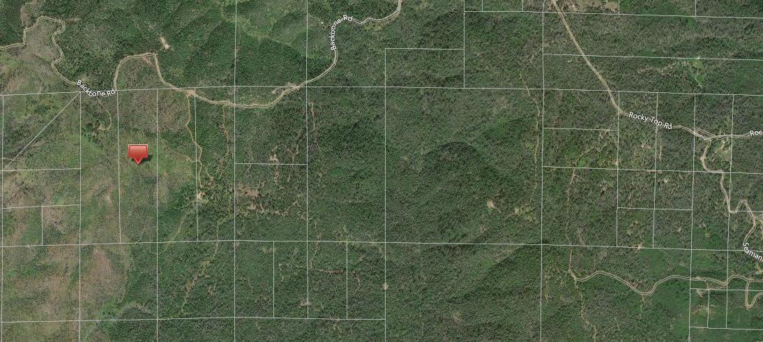 40-acres Backbone Road Bella Vista, CA 96008 - Photo 8 of 8 8