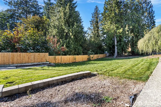 a view of a back yard