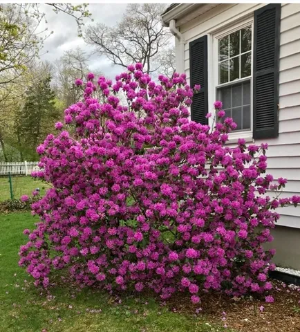 $3,499 | 40 Shattuck Park Road, Norwood, MA 02062