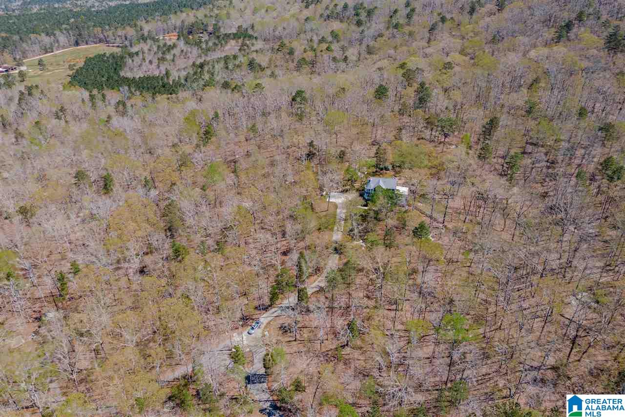 358 Jump Off Farms Road Odenville, AL 35120 - Photo 36 of 42