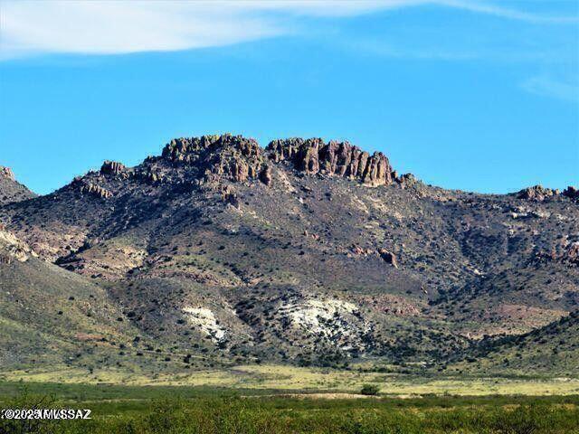 3 Triangle Ranches San Simon, AZ 85632 - Photo 1 of 11 Gallery Image 1