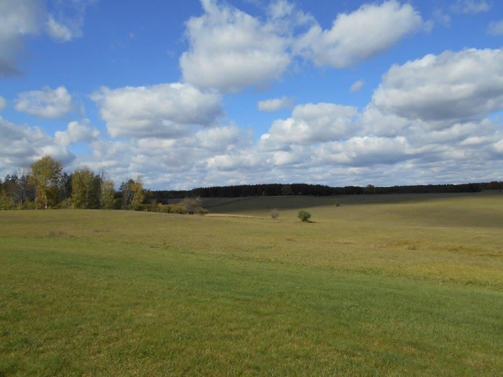 1847 East 24 Road Cadillac, MI 49601 - Photo 49 of 49 1794329-48.JPG