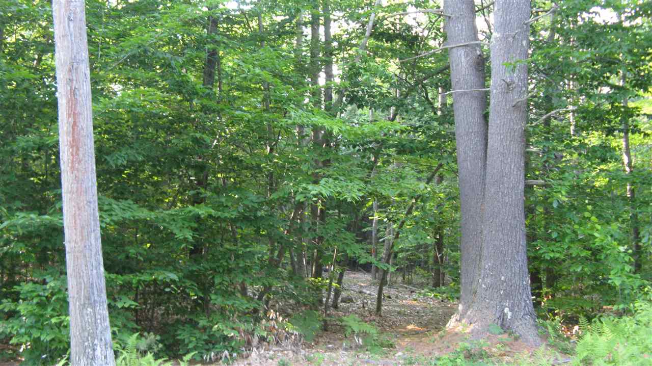 Lot 12 Suncook Valley Road Alton, NH 03809 - Photo 1 of 8