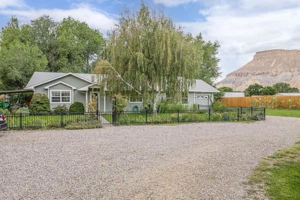 a view of house with a yard and potted plants