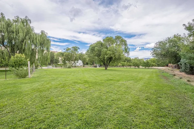a view of grassy field with benches