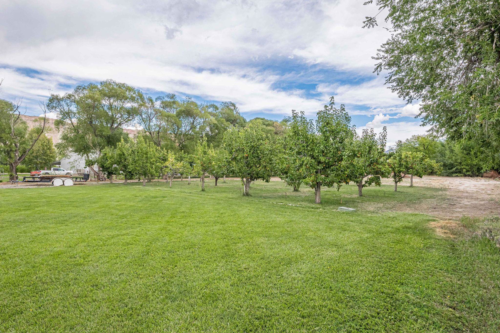 3613 G Road, Unit E Palisade, CO 81526 - Photo 32 of 42 a view of grassy field with benches