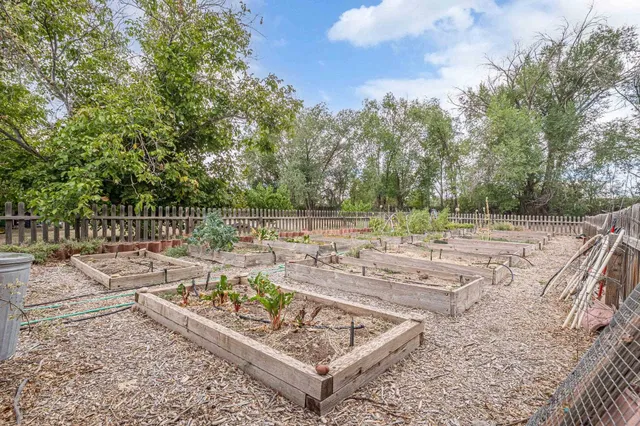 a view of a backyard with fence and a tree