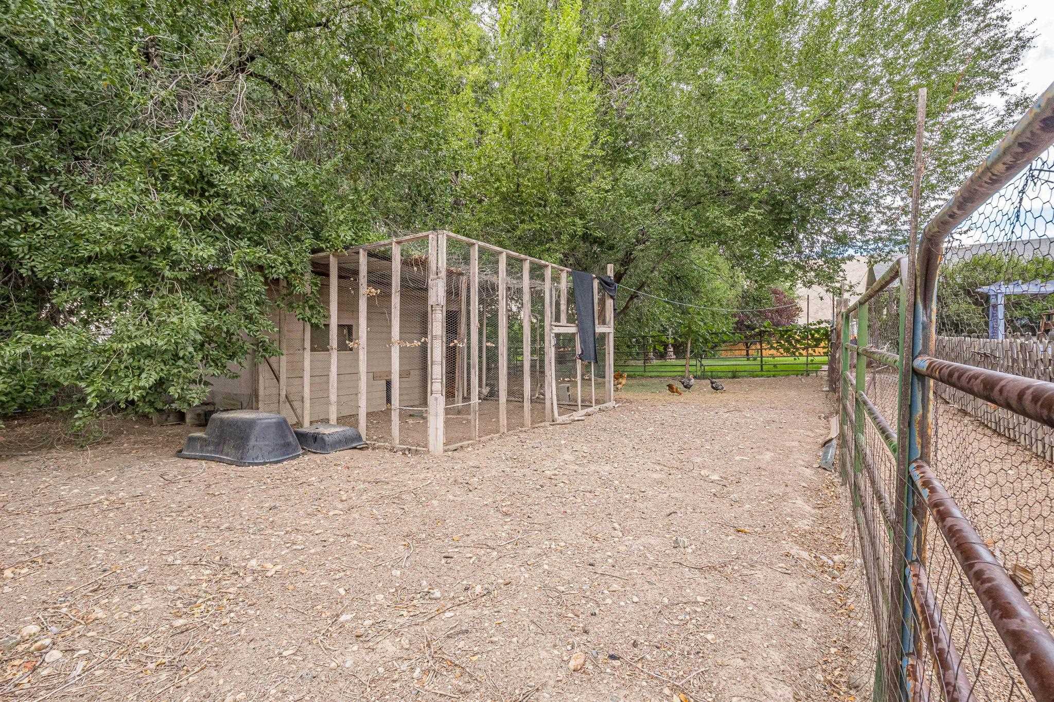 3613 G Road, Unit E Palisade, CO 81526 - Photo 38 of 42 a view of a backyard with fence and a tree