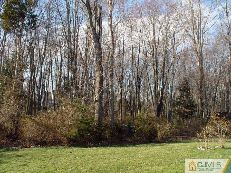 3 Colts Run Road Princeton, NJ 08540 - Photo 19 of 21 Gallery Image 19