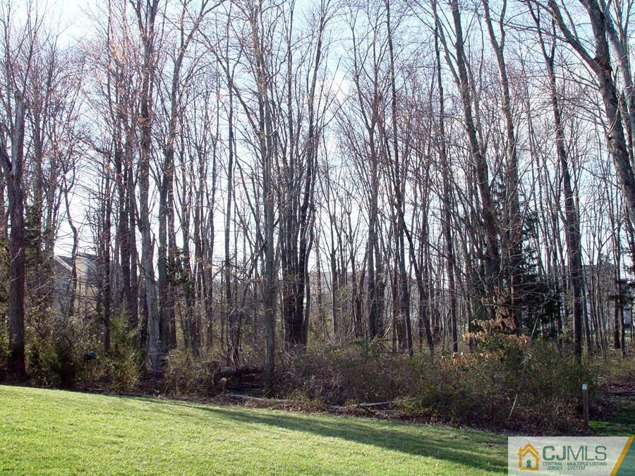 3 Colts Run Road Princeton, NJ 08540 - Photo 20 of 21 Gallery Image 20