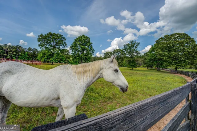 $2,150,000 | 20207 State Highway 11, Monticello, GA 31064