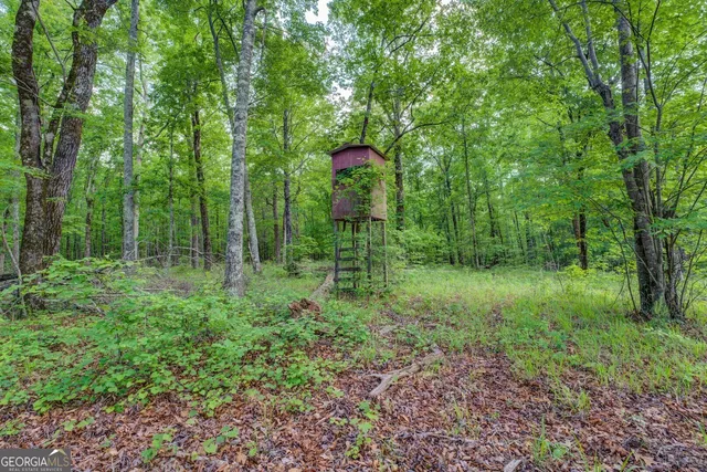 $2,150,000 | 20207 State Highway 11, Monticello, GA 31064