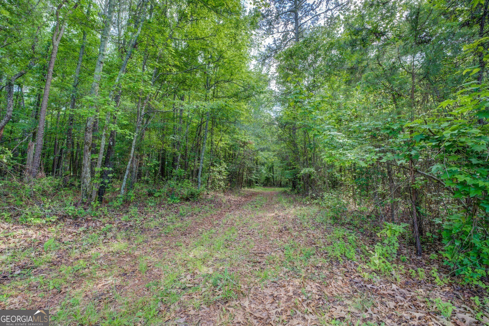 20207 State Highway 11 Monticello, GA 31064 - Photo 152 of 159