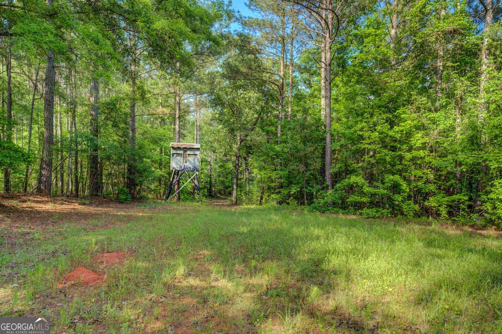 20207 State Highway 11 Monticello, GA 31064 - Photo 153 of 159
