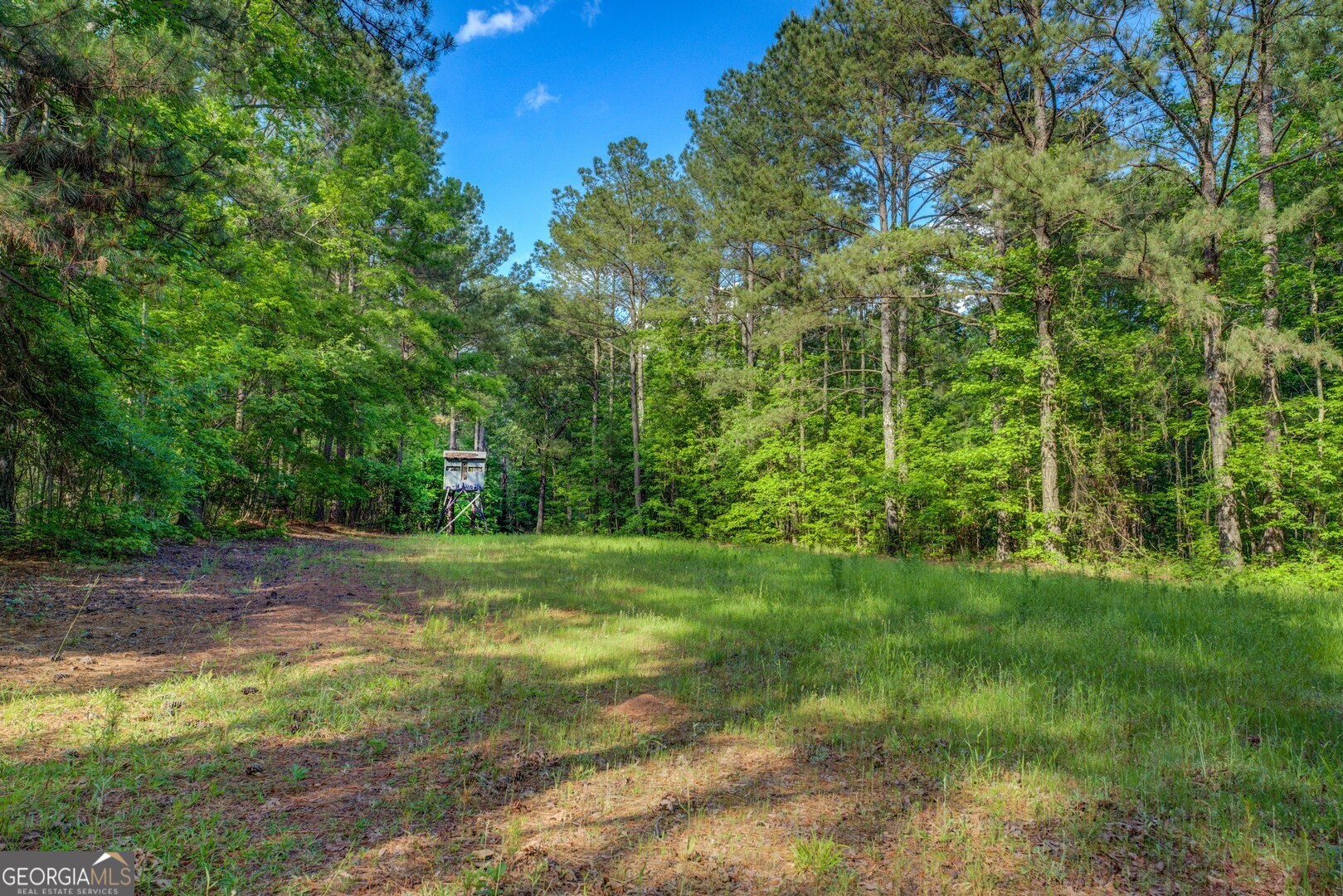 20207 State Highway 11 Monticello, GA 31064 - Photo 155 of 159 a view of a yard with a trees