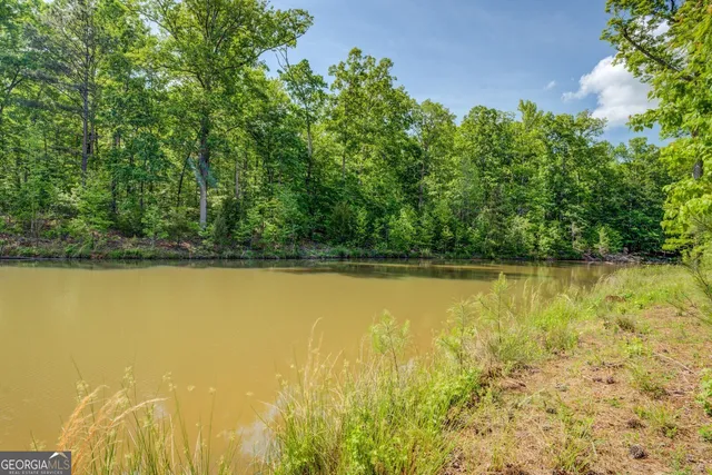 $2,150,000 | 20207 State Highway 11, Monticello, GA 31064