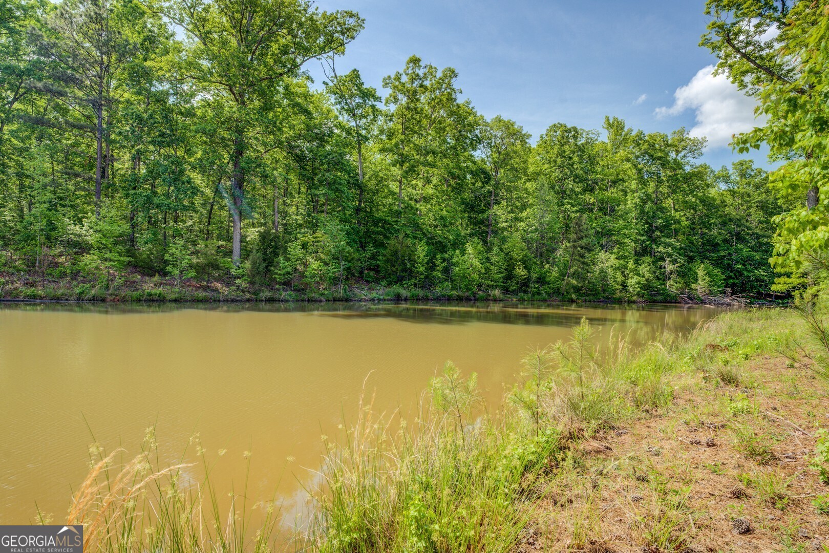 20207 State Highway 11 Monticello, GA 31064 - Photo 157 of 159