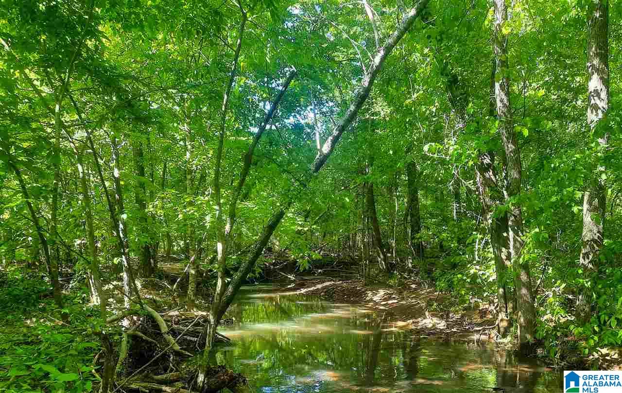 0 Mountain Gap Road, Unit 27 ACRES Cleveland, AL 35049 - Photo 1 of 7