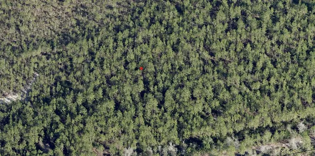 a view of a lush green field