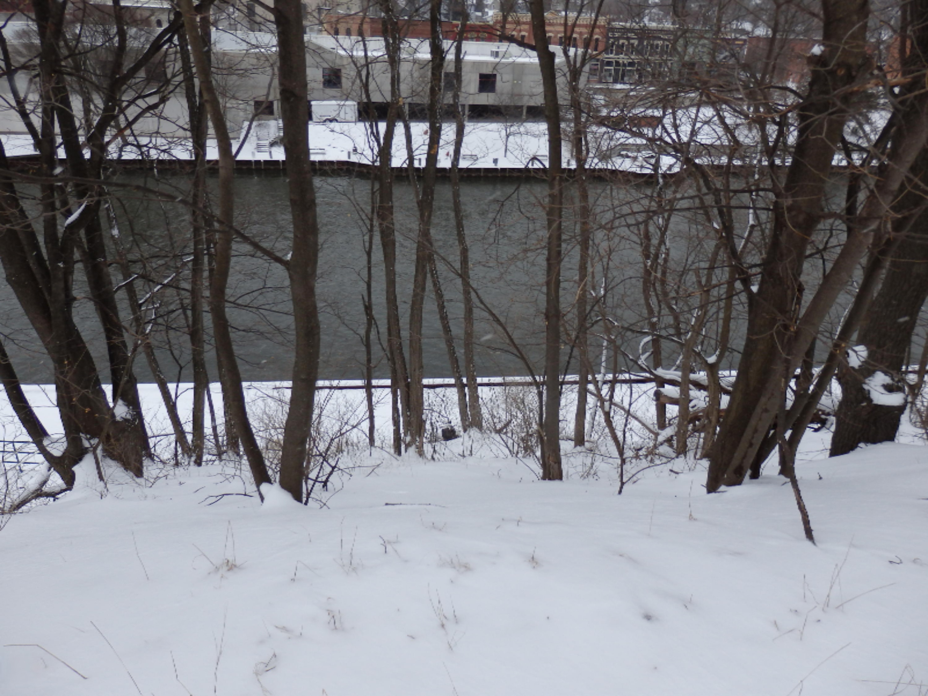 6th Avenue Manistee, MI 49660 - Photo 9 of 18 Sixth ave