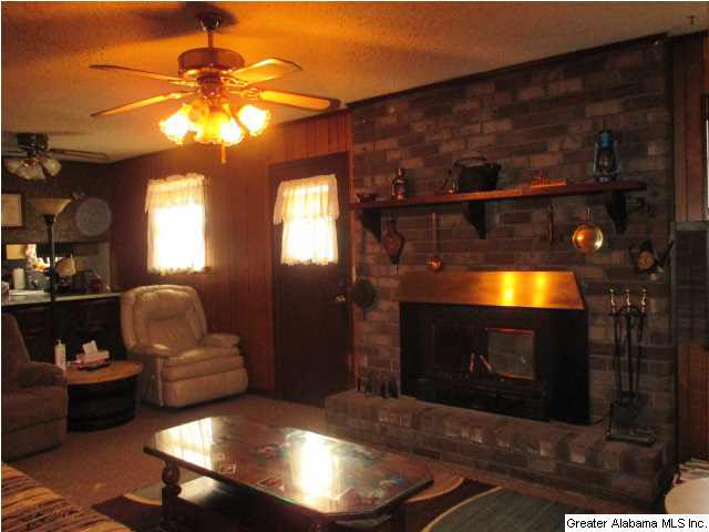 9258 Tingle Cutoff Road Dora, AL 35062 - Photo 3 of 28