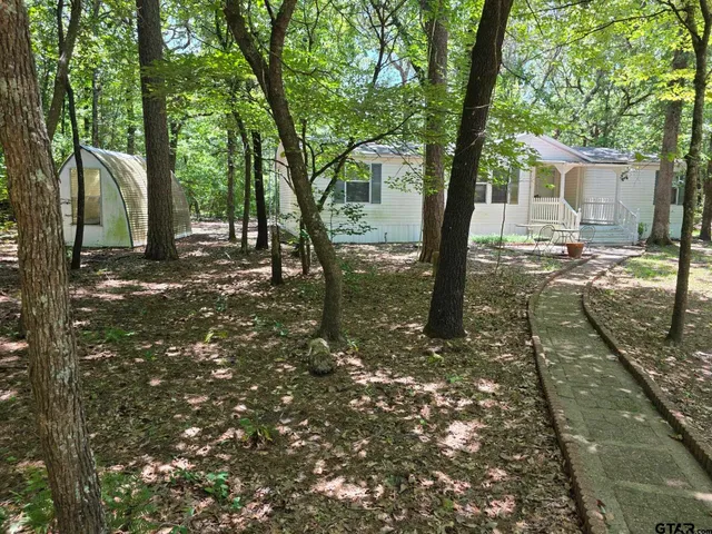 a view of a tree in the backyard of a house