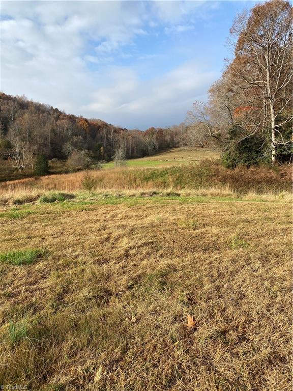 1020 Ebenezer Church Road State Road, NC 28676 - Photo 12 of 50 Gallery Image 12