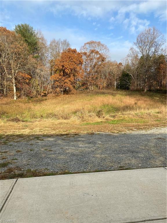 1020 Ebenezer Church Road State Road, NC 28676 - Photo 18 of 50 Gallery Image 18