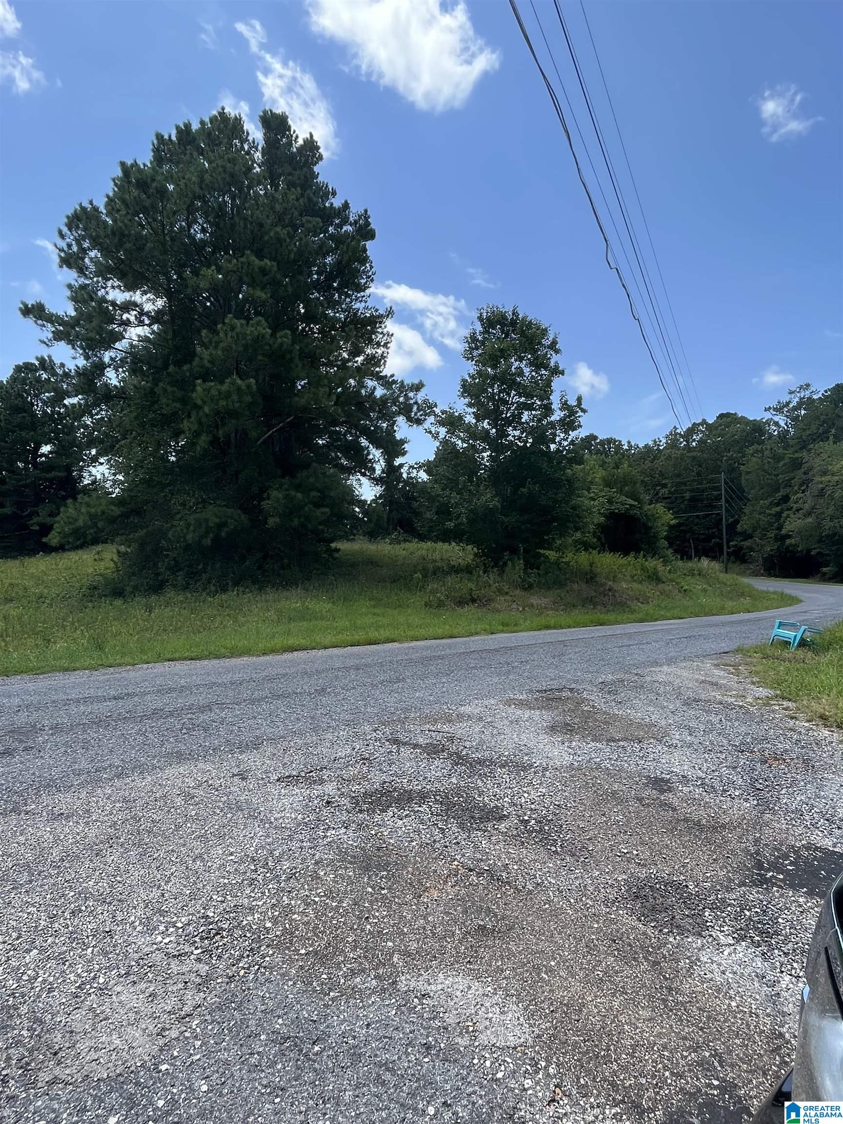 0 Meadow River Road, Unit 1 Talladega, AL 35160 - Photo 8 of 9