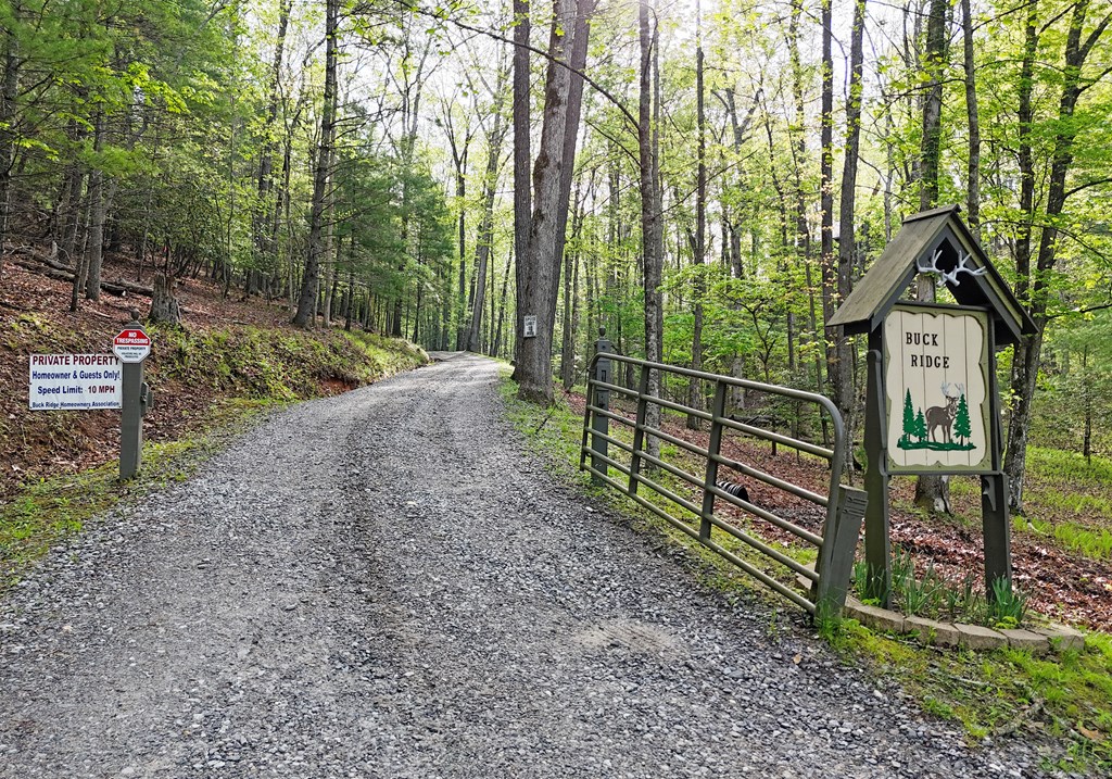 216 Buck Ridge Road Suches, GA 30572 - Photo 37 of 37