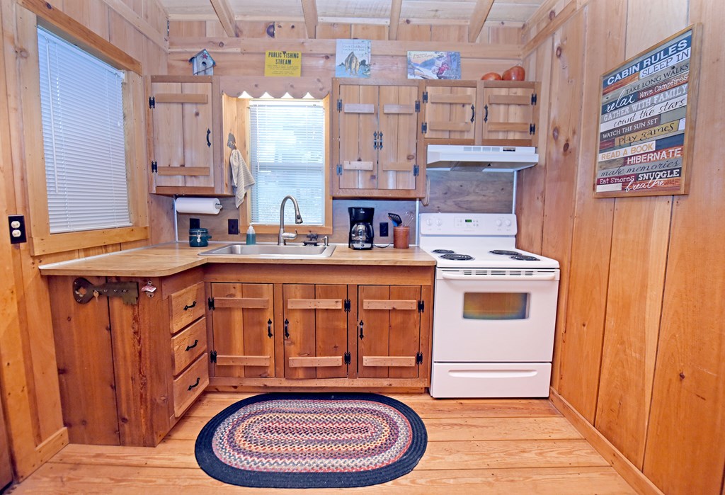 216 Buck Ridge Road Suches, GA 30572 - Photo 4 of 37