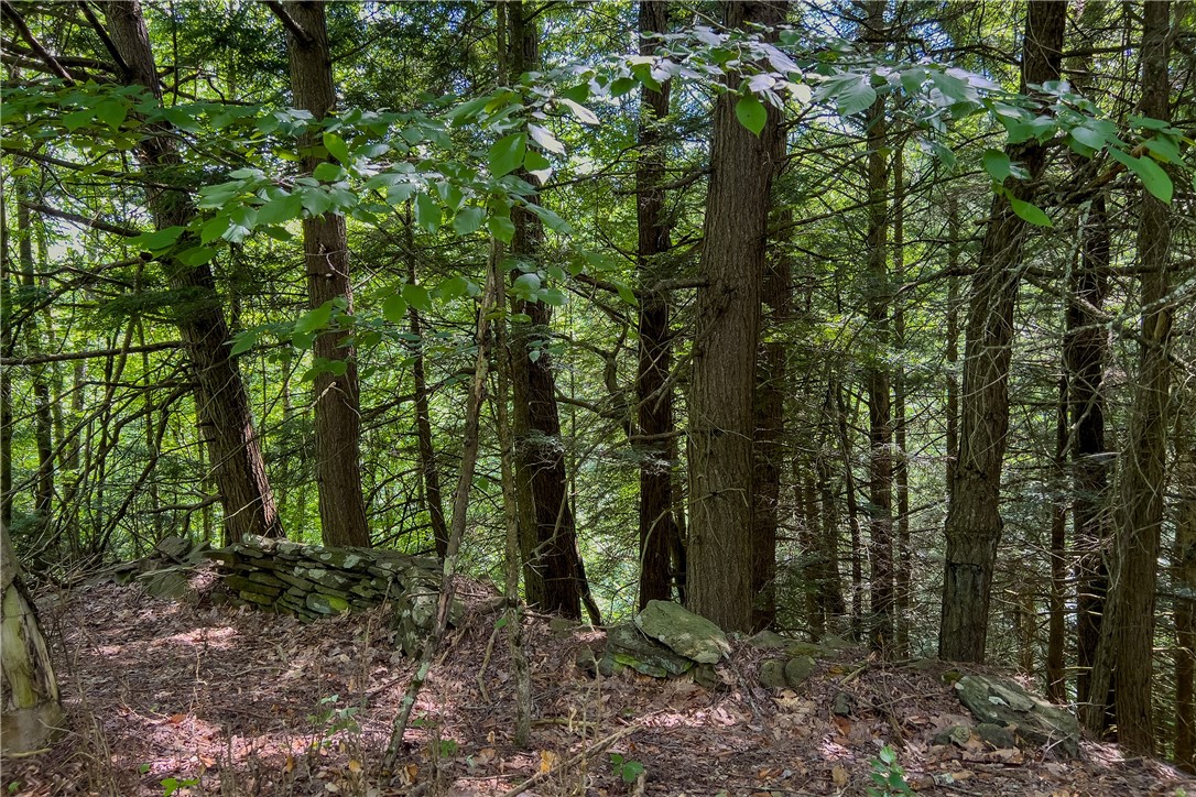 Lot 23 Lynch Road Delhi, NY 13753 - Photo 28 of 50 Gallery Image 28