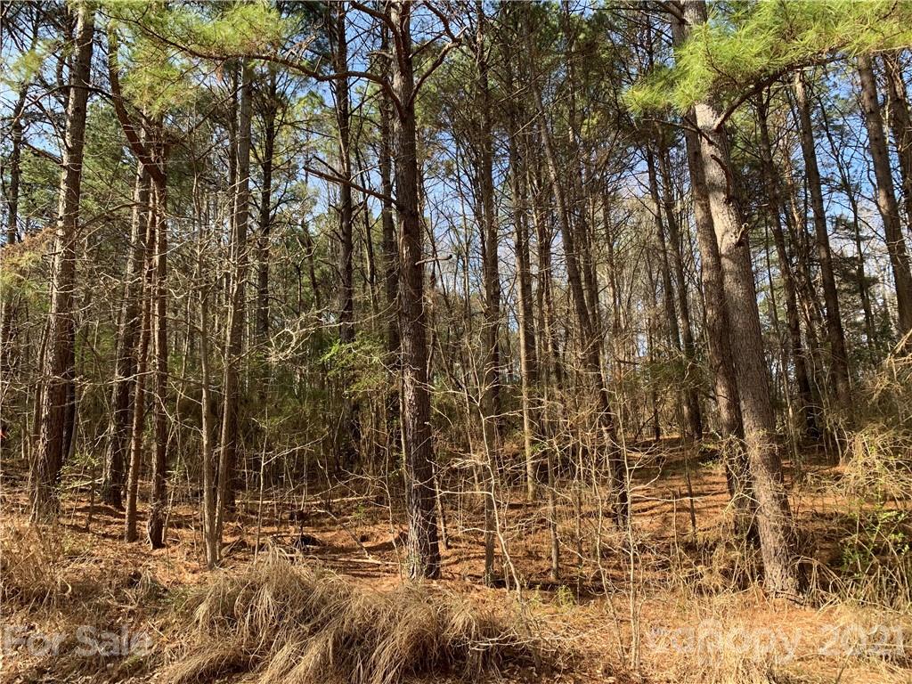 357 Hopewell Church Road, Unit 48 Catawba, NC 28609 - Photo 3 of 10 Gallery Image 3