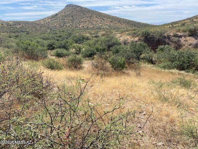 36 Acres Douglas Az 85607 Douglas, AZ 85607 - Photo 8 of 29