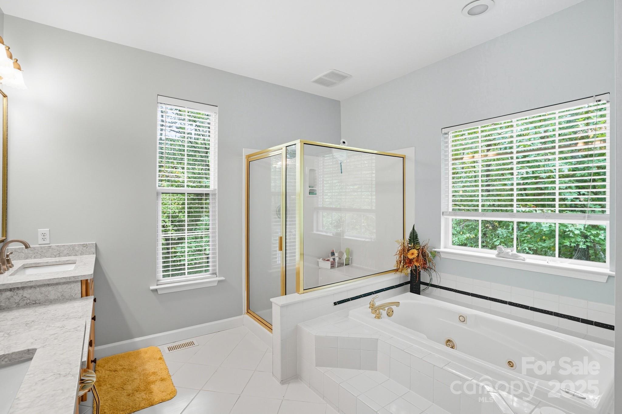 316 Brigadier Drive Clover, SC 29710 - Photo 20 of 47 a bathroom with a tub a sink and a window