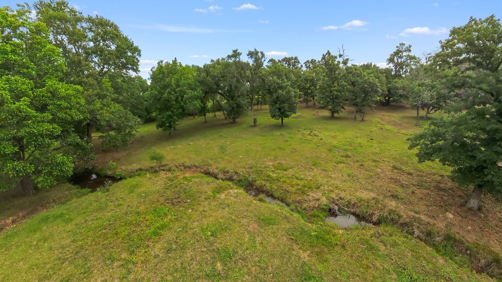 380 An County Road Palestine, TX 75803 - Photo 19 of 62