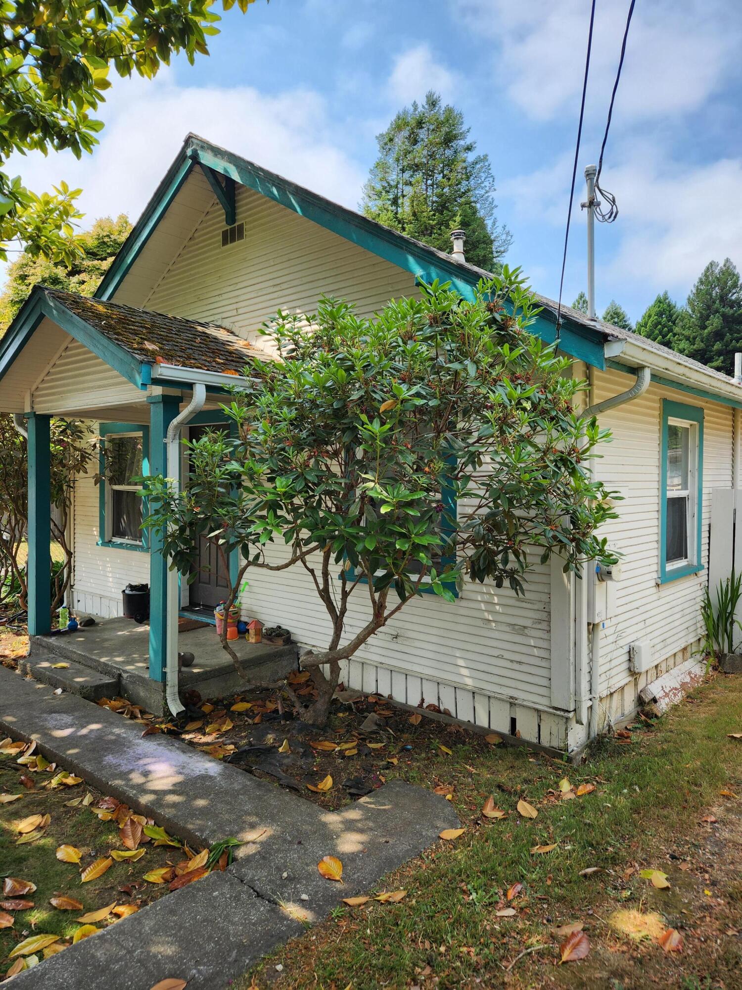 2163 Fern Street Cutten, CA 95503 - Photo 10 of 23 a view of a yard in front of house